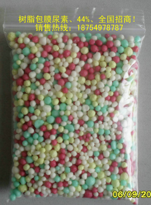 ��֬��Ĥ���ء���ʿ��ͷʡ�����